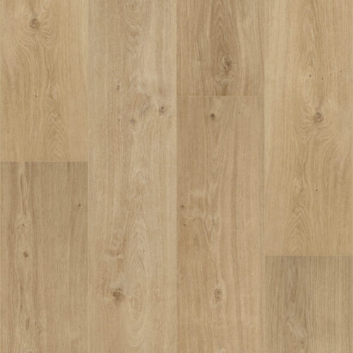 Floorify - S018 Toro/Cider - Plinthe Classique - 61 mm x 10 mm x 2000mm