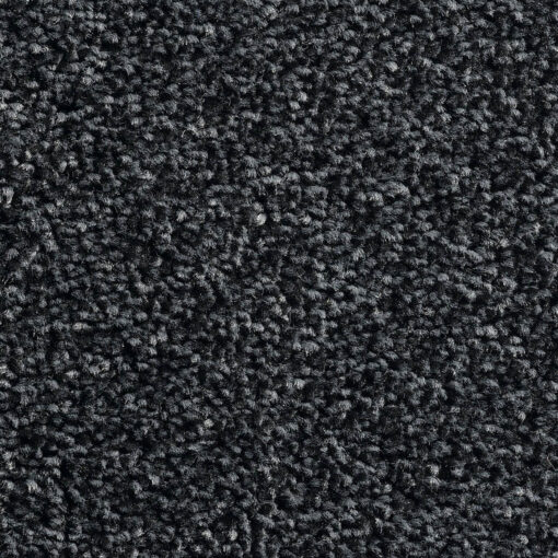 OTIUM Tapis d'Entrée Ligne Noire Raven 130 cm de large – Image 2